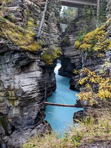 A photograph taken looking along a deep gully. The water in the gully is deep-blue in colour. There's a fallen tree crossing the gully.
