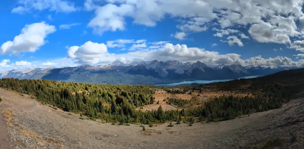 A panoramic photograph taken from a hiking trail, with grass and pine trees in the foreground, a distant lake can be seen, as well as snow-capped mountains in the background.