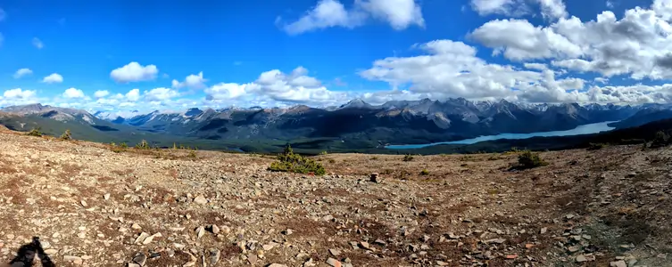 A panoramic photograph taken from a hiking trail, with grass and pine trees in the foreground, a distant lake can be seen, as well as snow-capped mountains in the background.