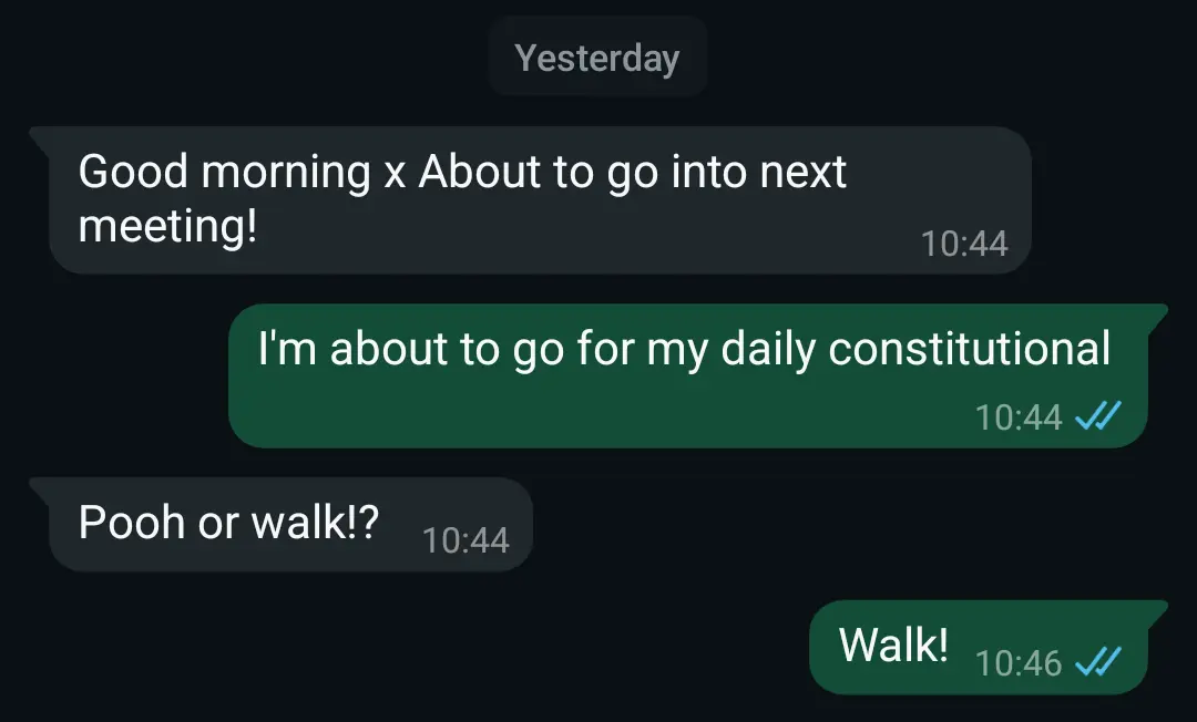 Screenshot of a WhatsApp message between my wife and me, where I state I'm about to go for my daily constitutional, and she asks if I mean a walk or something else